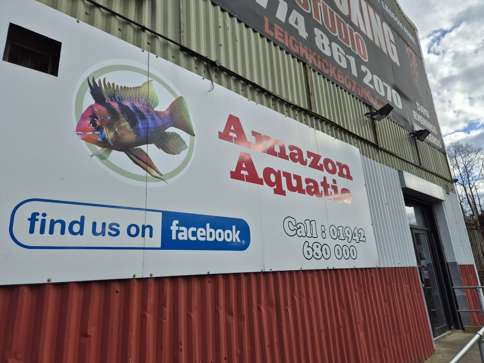 Amazon Aquatics