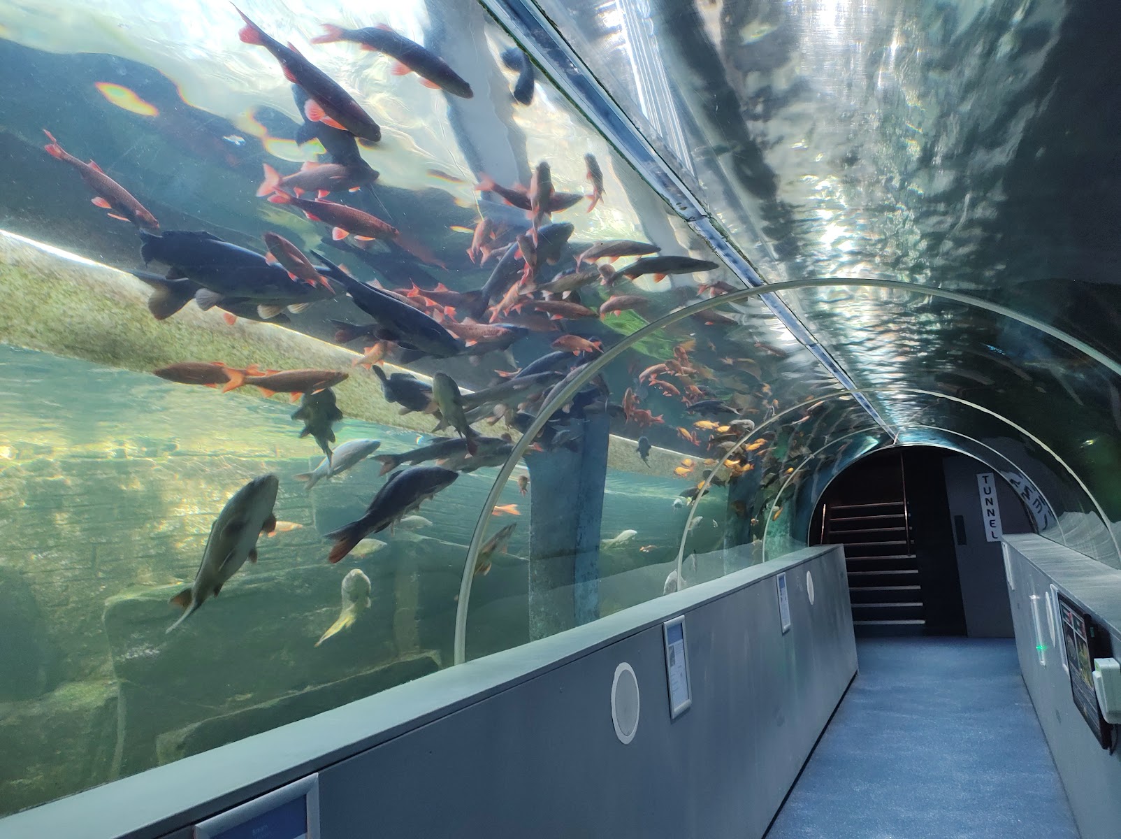 Lakes Aquarium