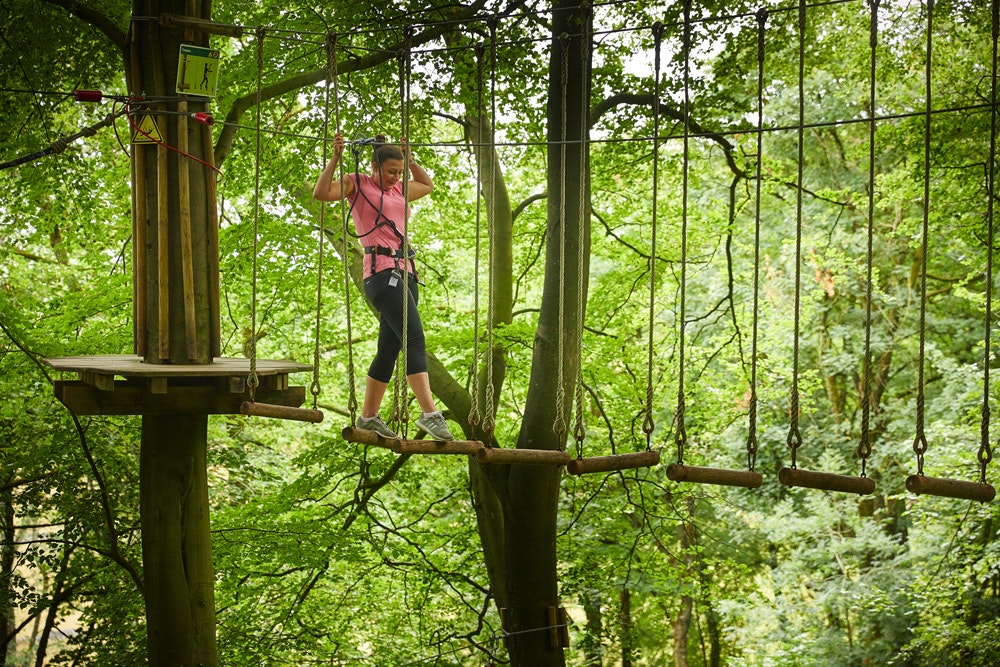 Go Ape Delamere Forest