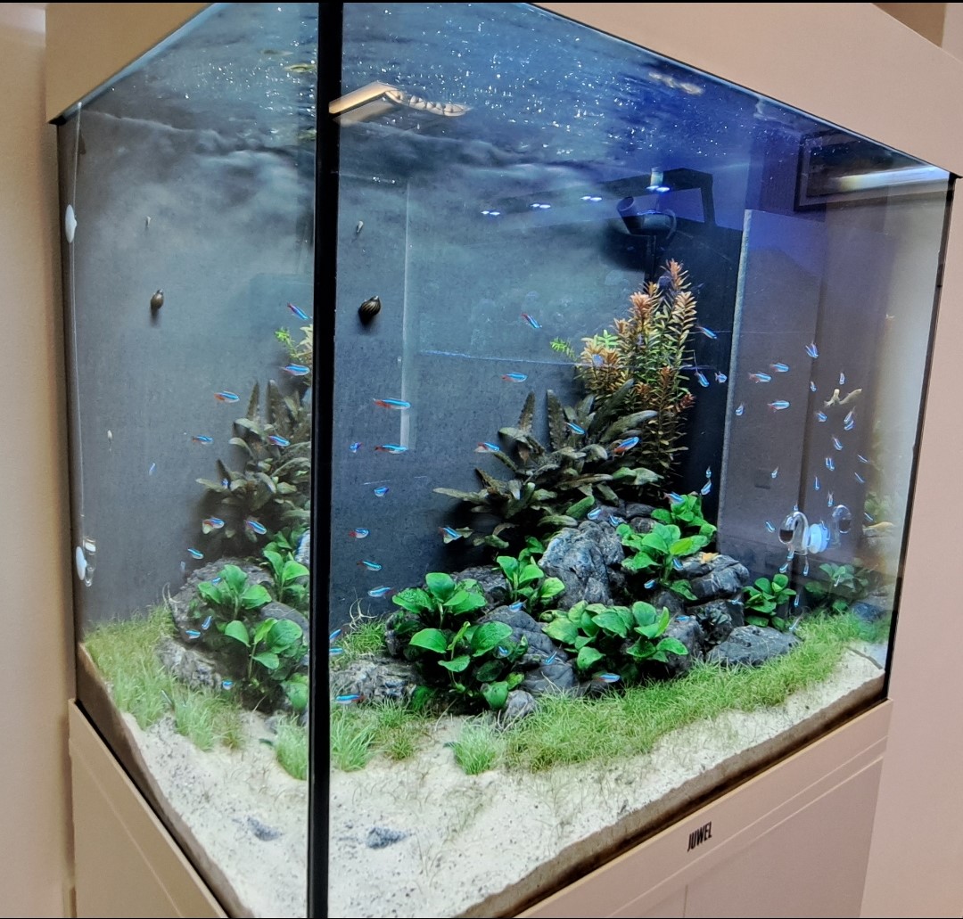 The Tank Whisperer