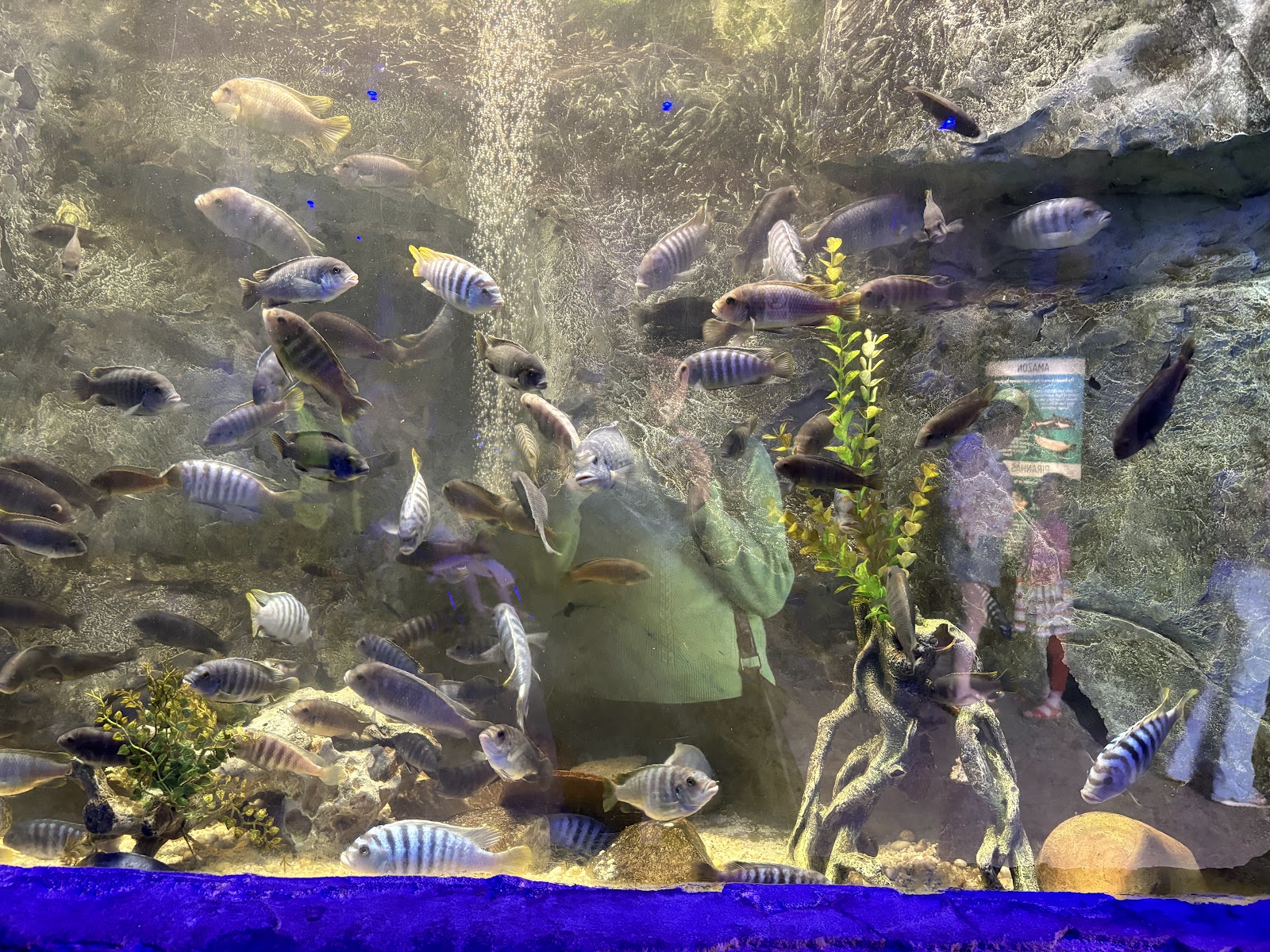 Aquarium