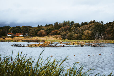 Low Barns Nature Reserve