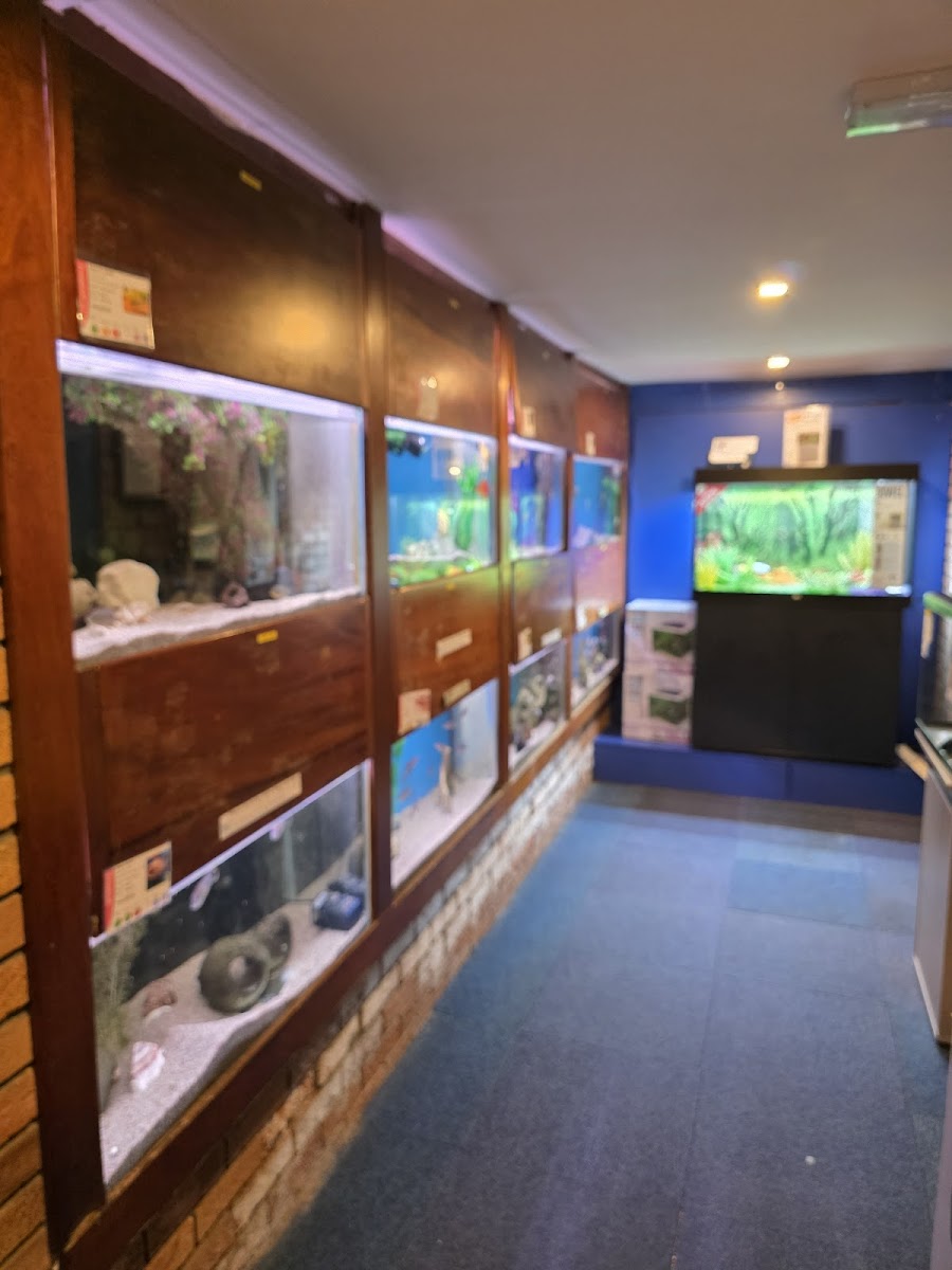 The Aquatic Habitat