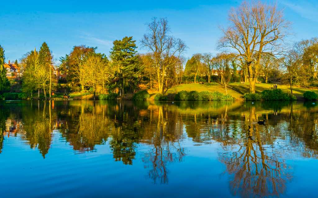 Moseley Park and Pool
