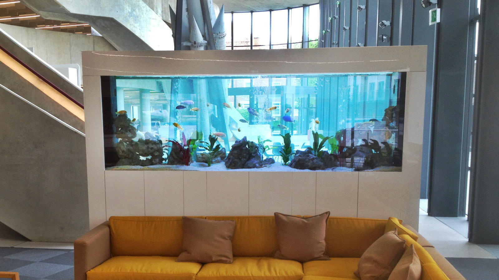 Aquarium Services Ltd