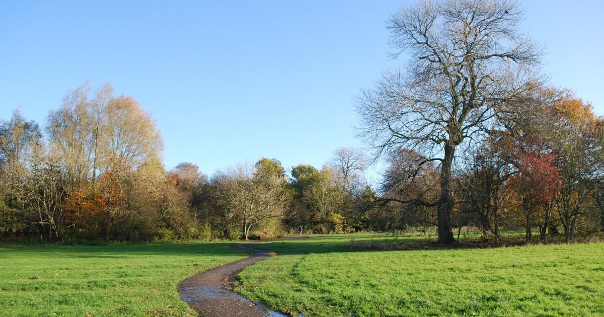 Withy Grove Park