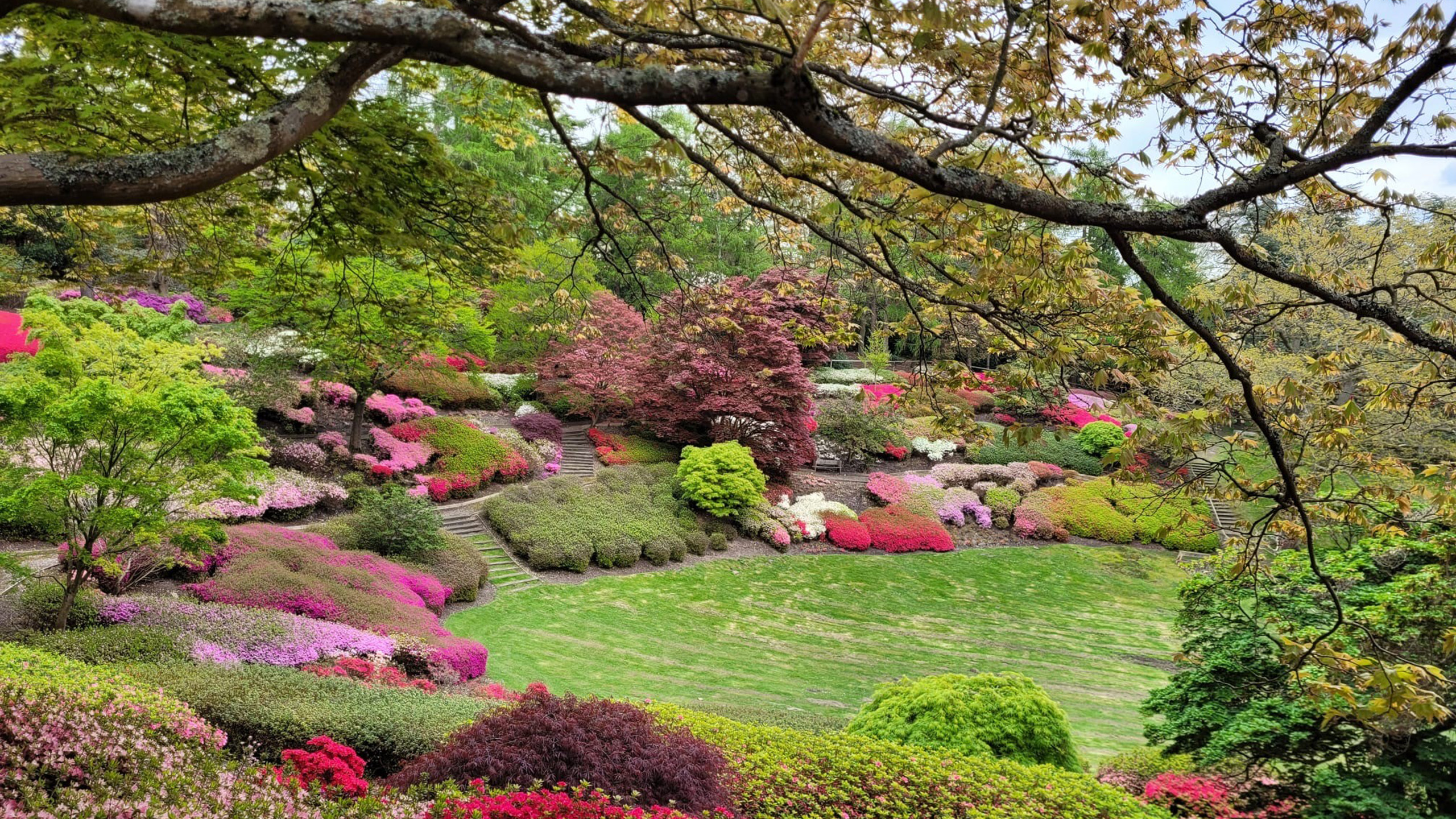 Valley Gardens
