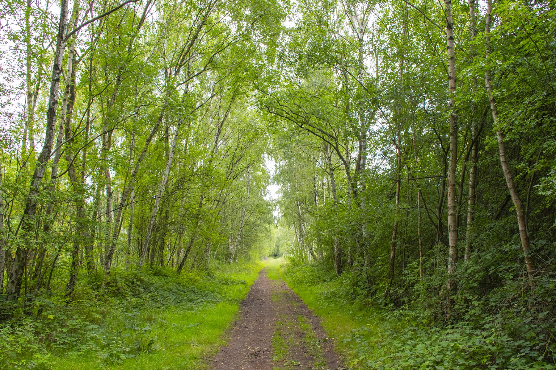 Wilwell Farm Nature Reserve