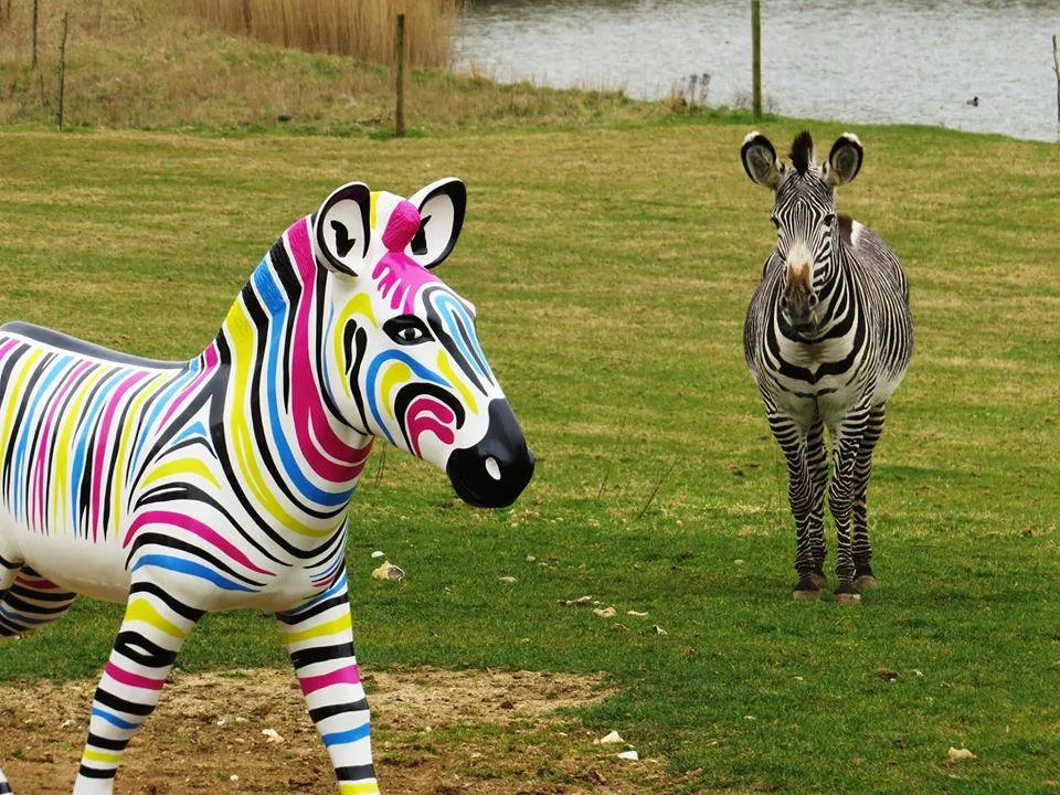 Marwell Zoo