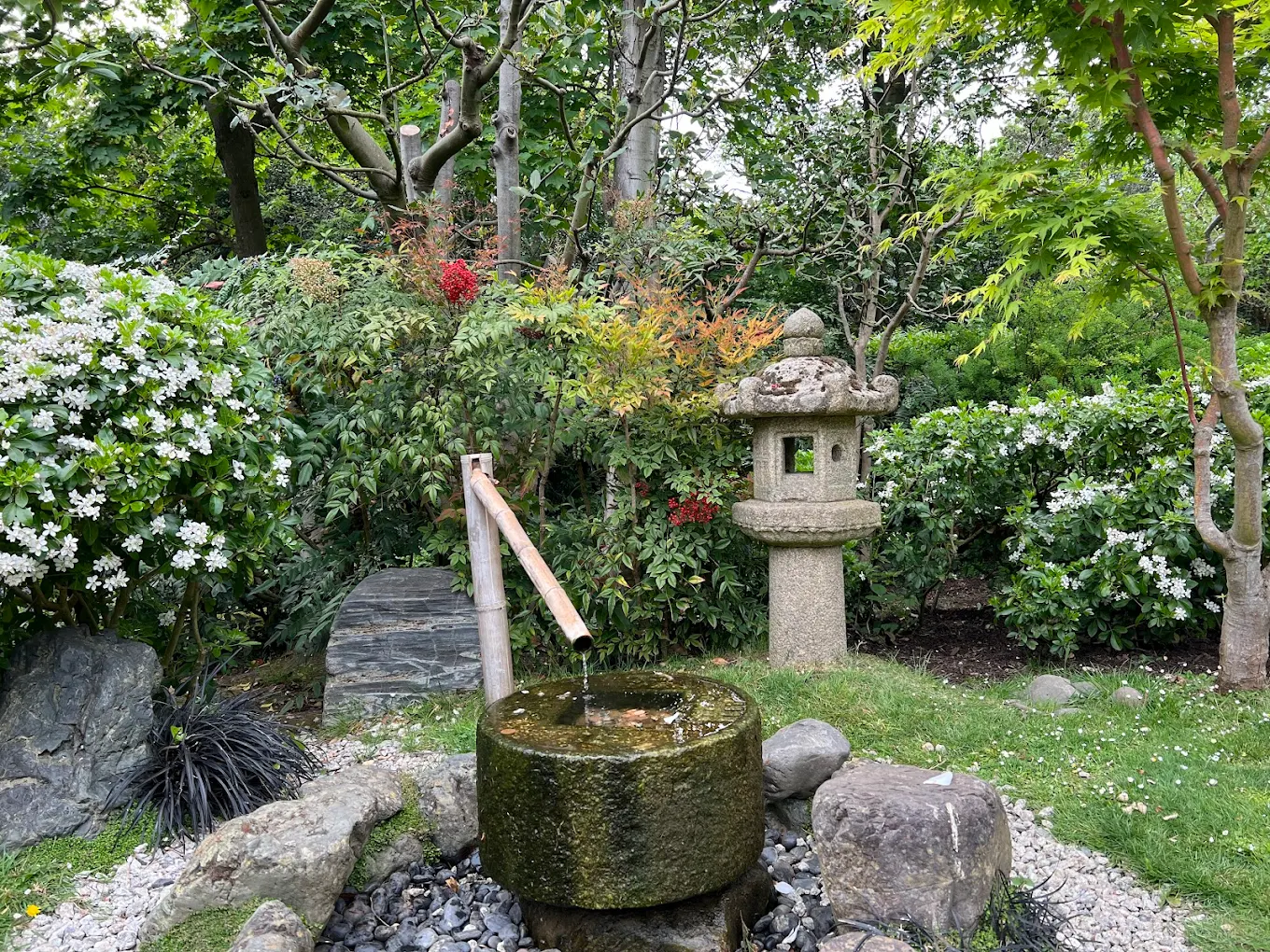 Kyoto Garden