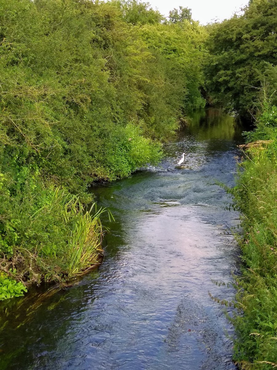 Manor Farm Open Space