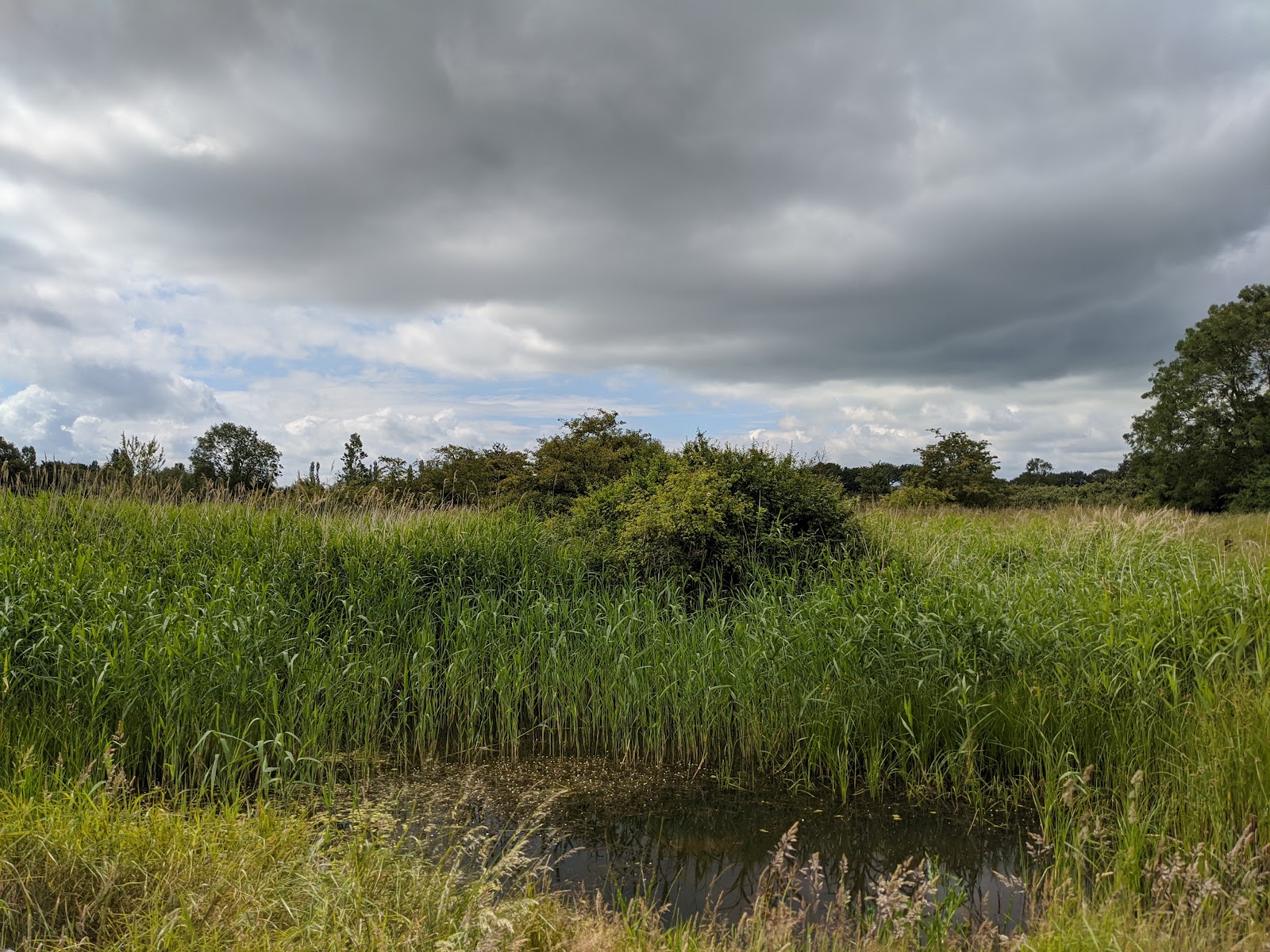 Barling Magna Wildlife Reserve