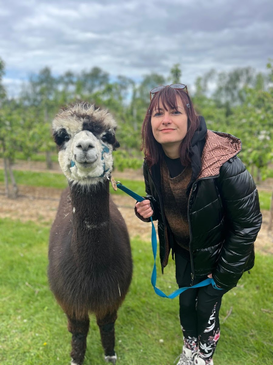 All Things Alpaca Ltd