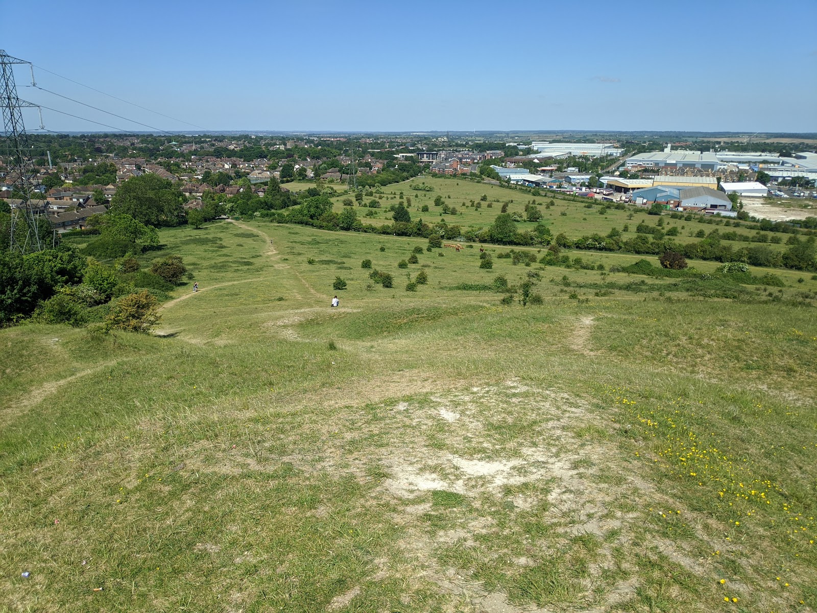 Blow's Downs Nature Reserve