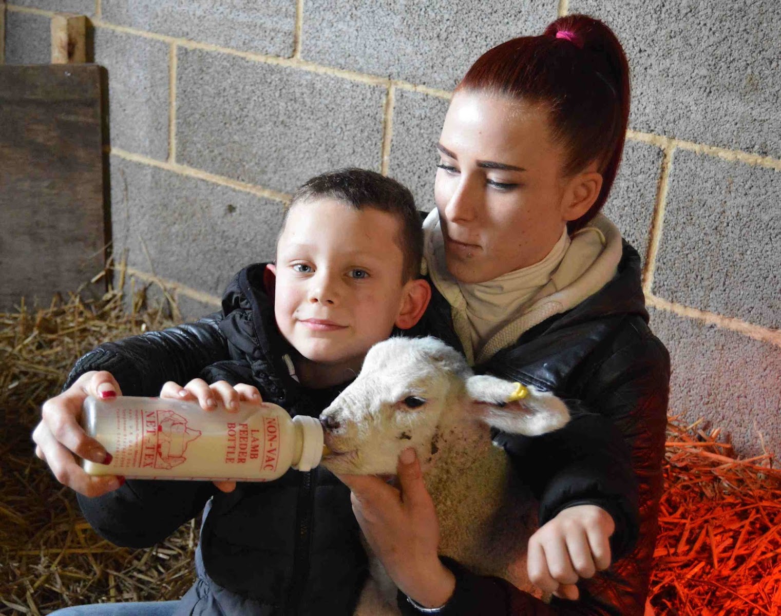 St James City Farm