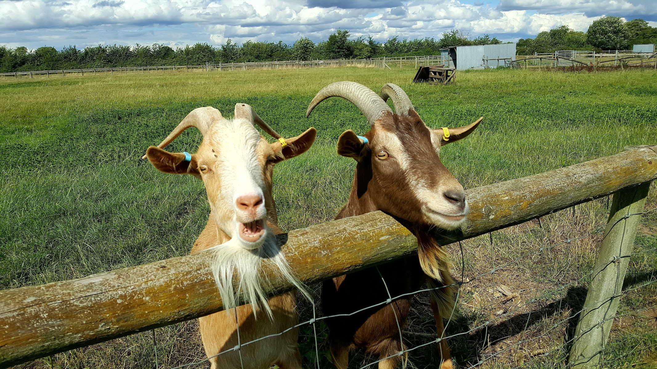 St Augustines Farm