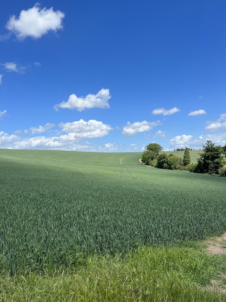 Galley & Warden Hills Nature Reserve