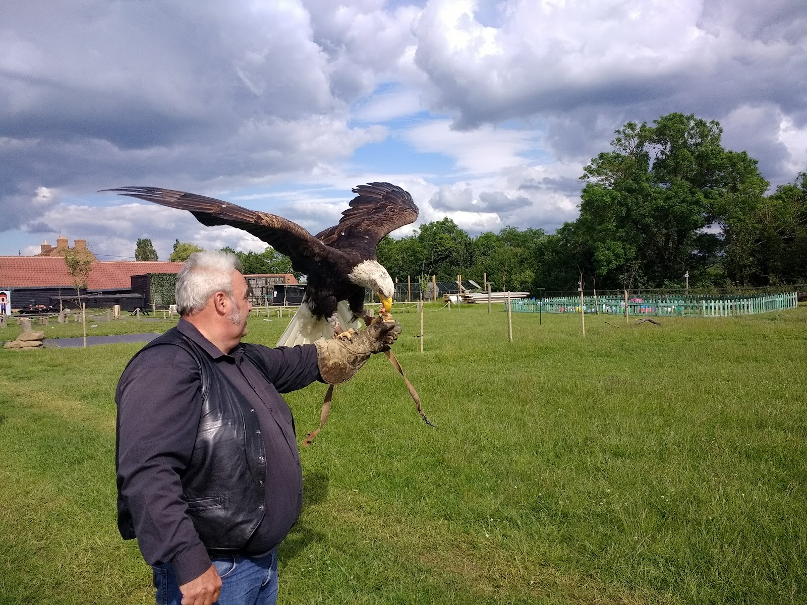 Herrings Green Activity Farm & Bird of Prey Centre