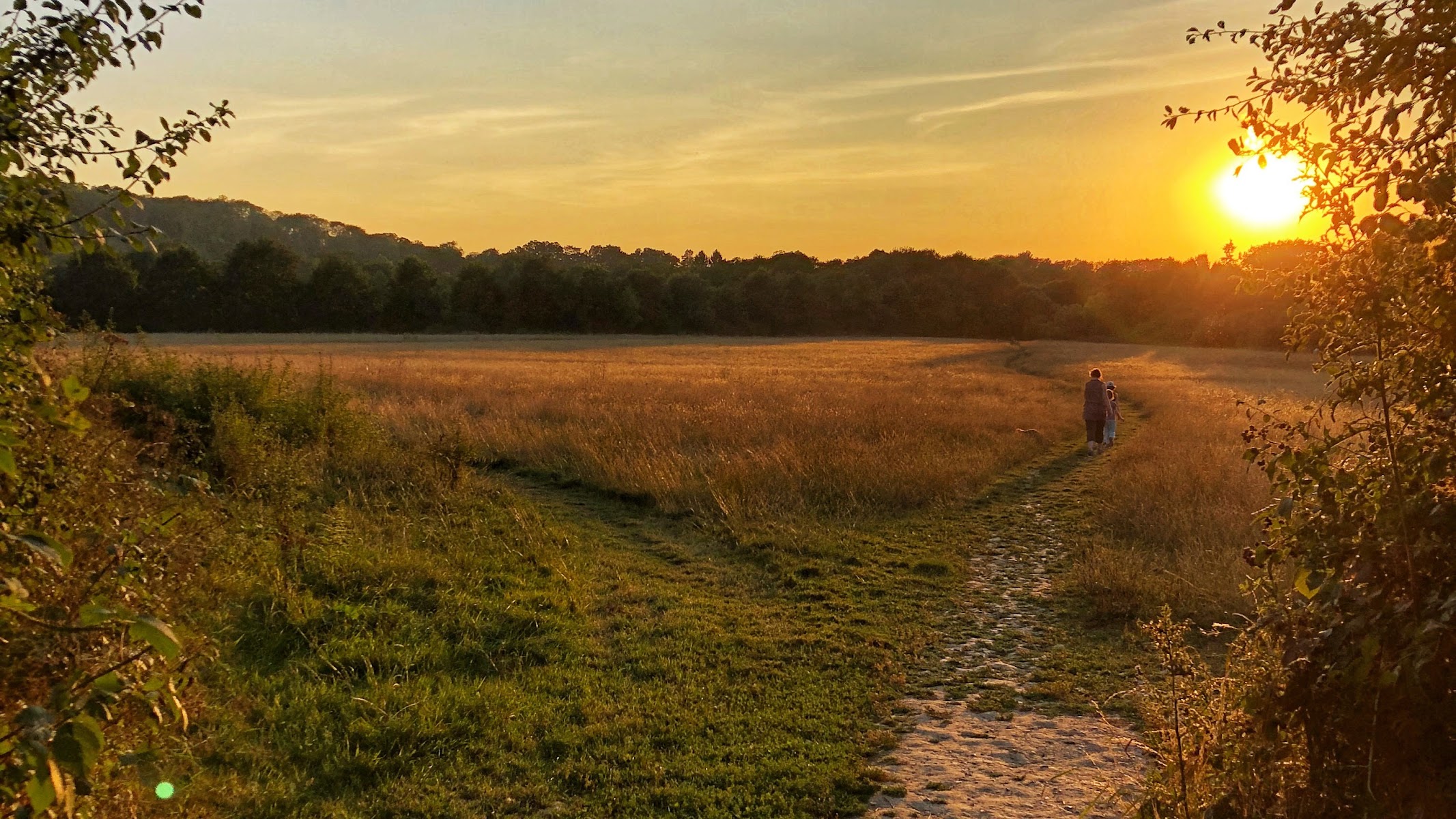 Chesworth Farm, Horsham