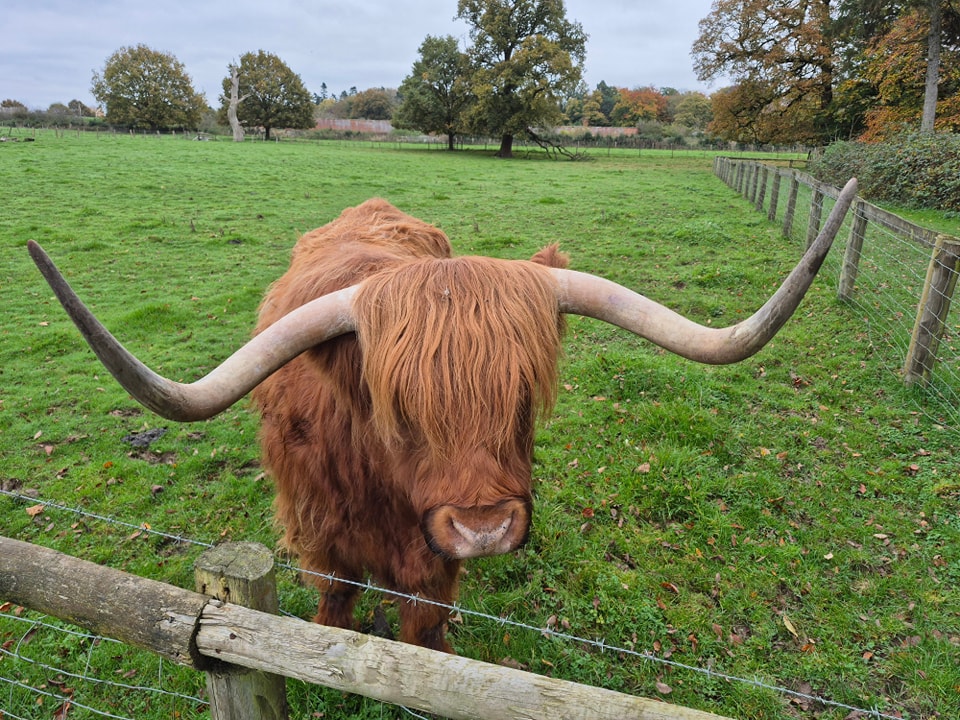 Home Farm Attingham