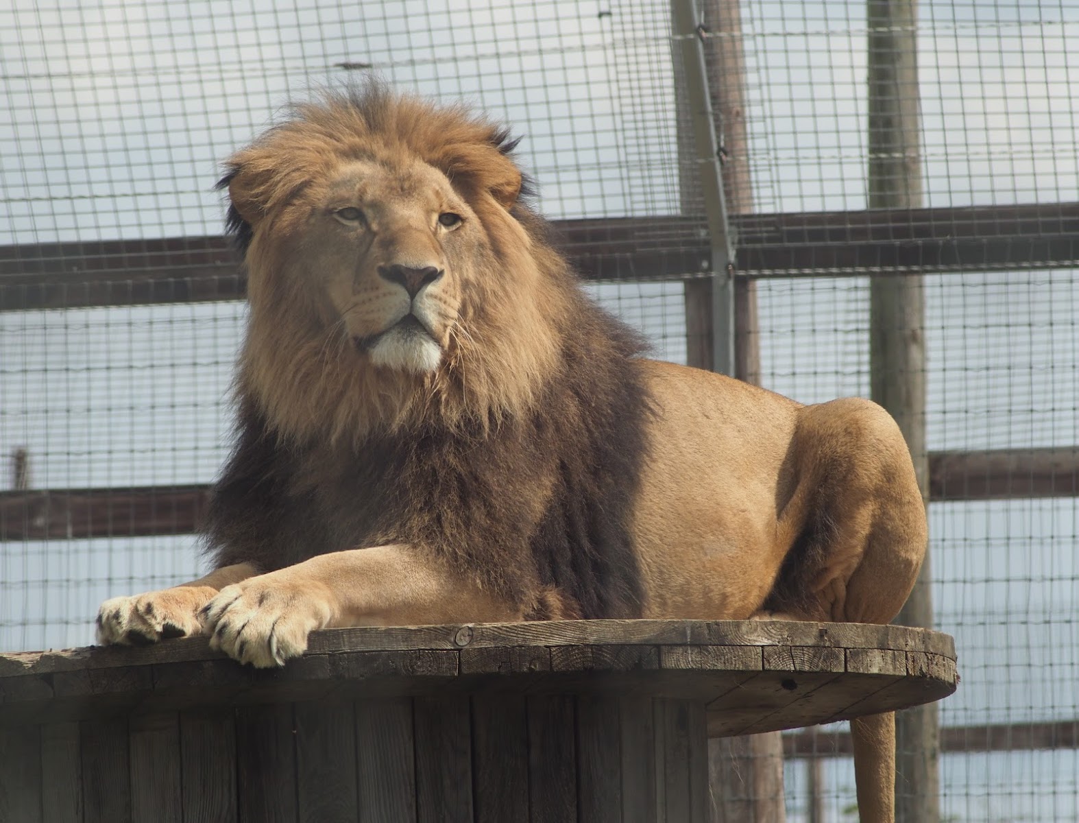 Wolds Wildlife Park