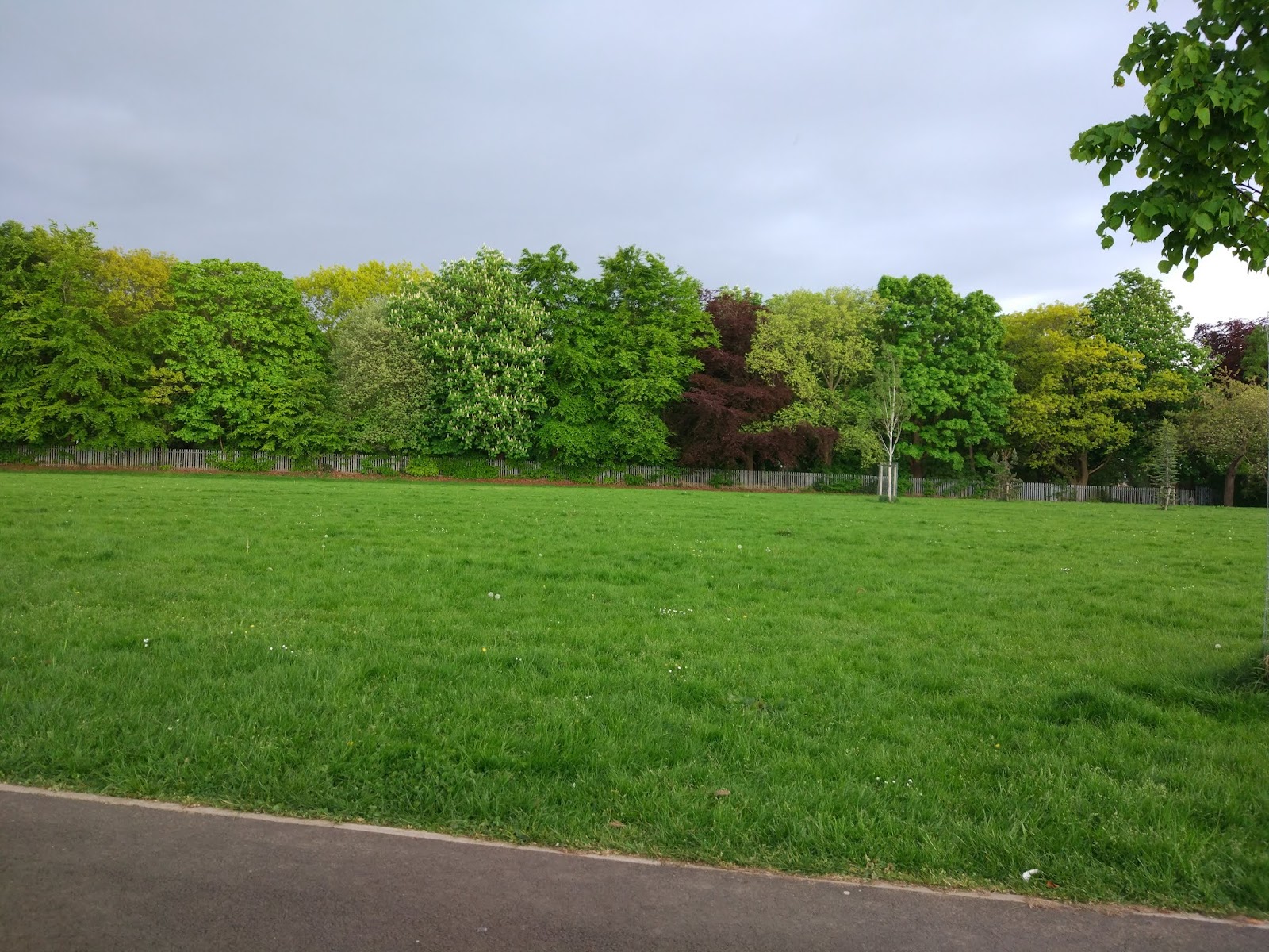 Buttercup Farm Park