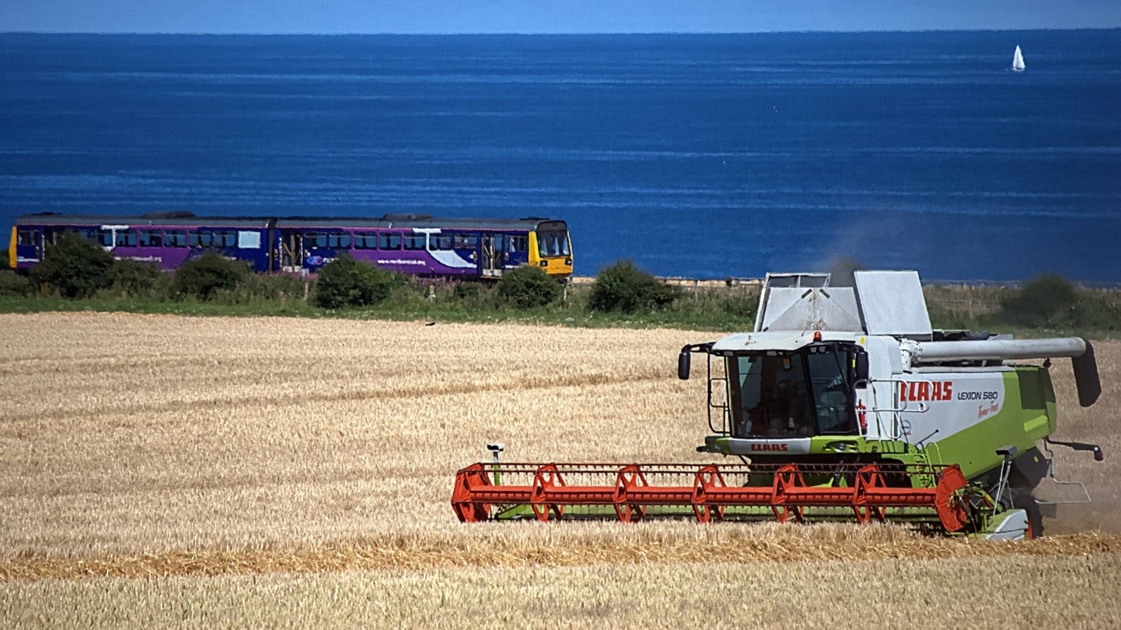 Seaham Grange Farm