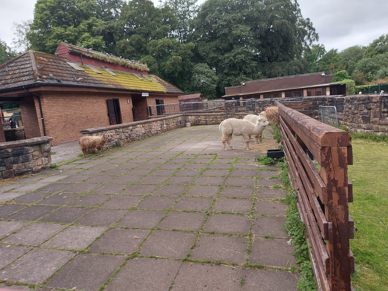 Tollcross Farm
