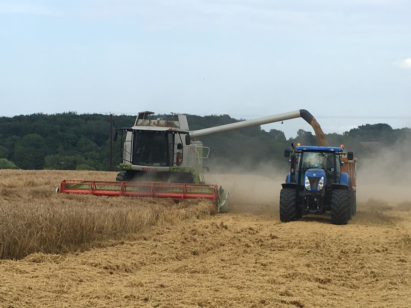 Manor Farm 1.2.3.4