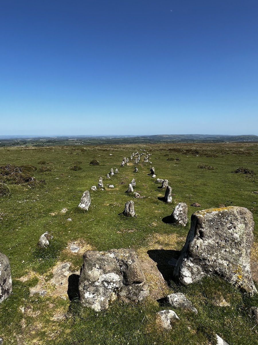 Cosdon Hill Multiple Stone Rows