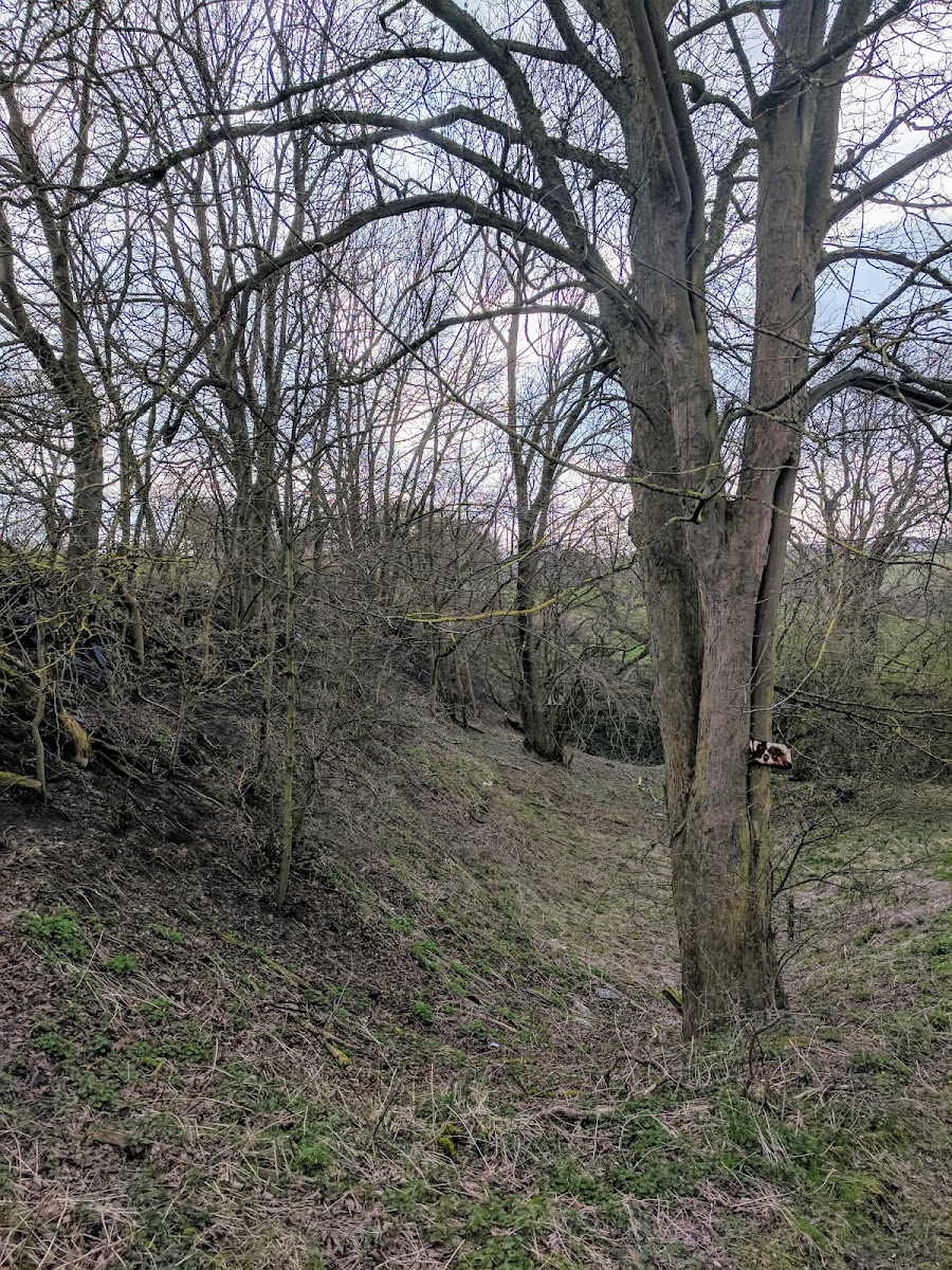 Thrundle Farm