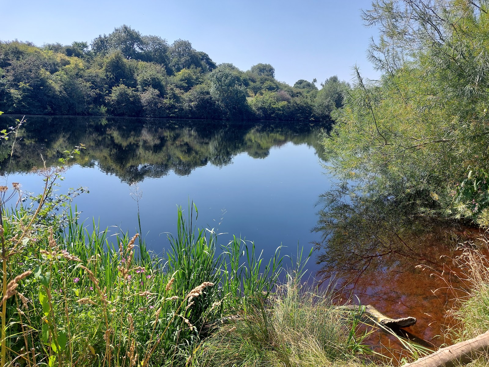 Preston Farm Nature Reserve