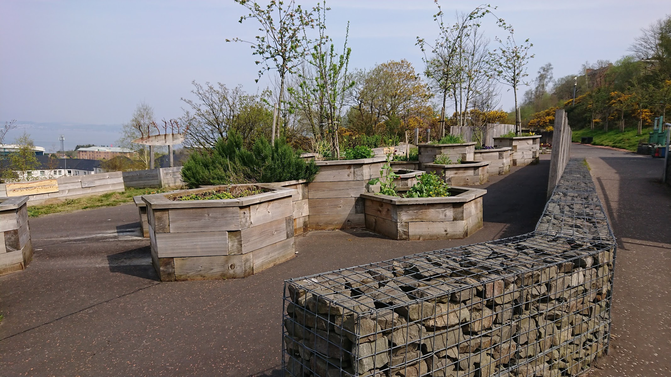 Bellville Community Garden