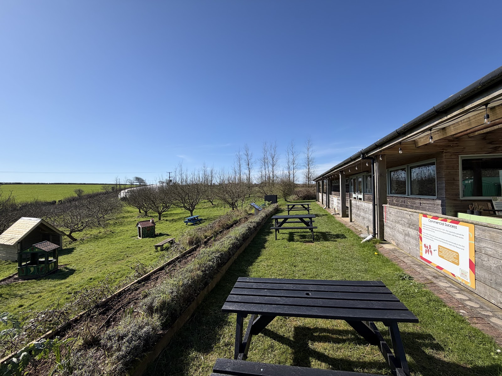South Devon Chilli Farm