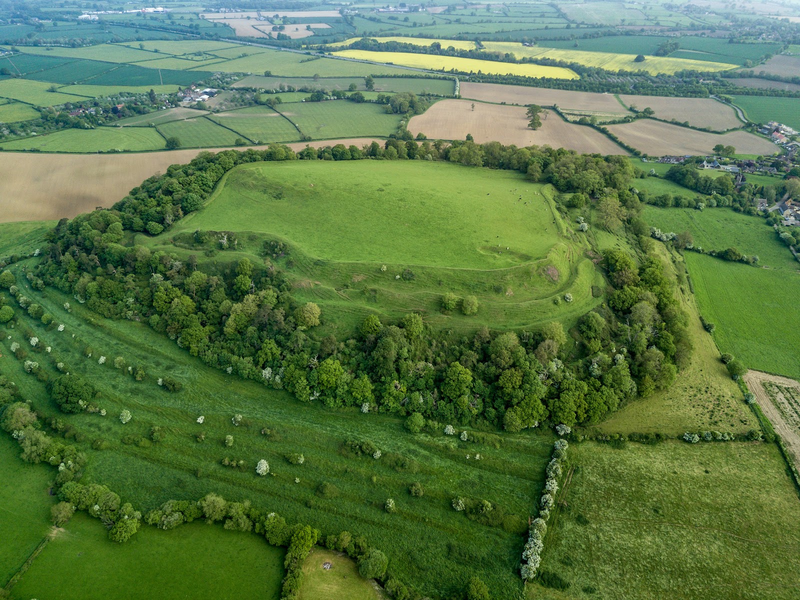 Cadbury Castle and associated earthworks