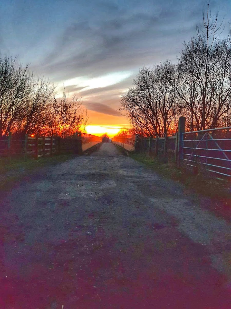 Hyde Hall Farm