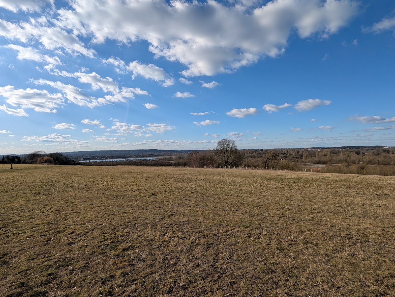 Runfold Ridge