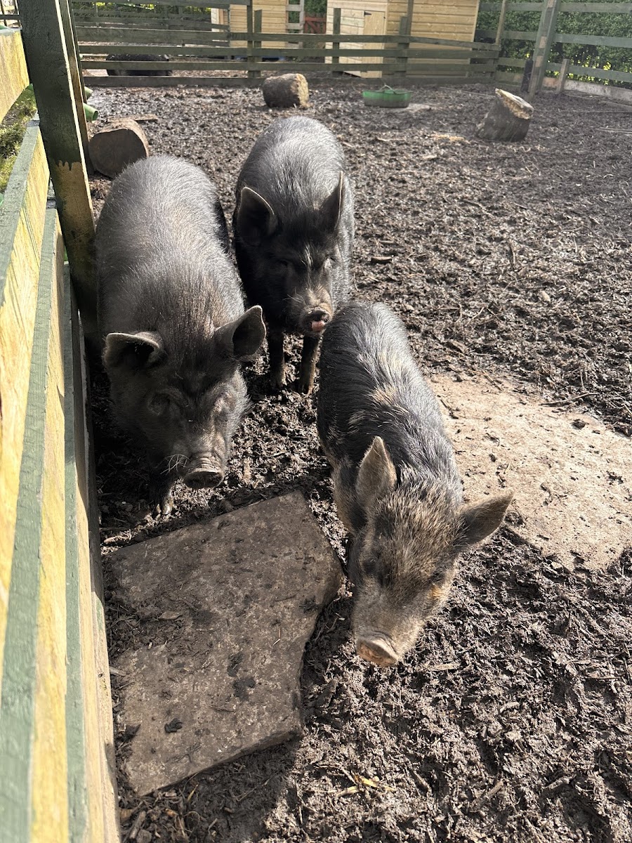 Eastham urban farm & park
