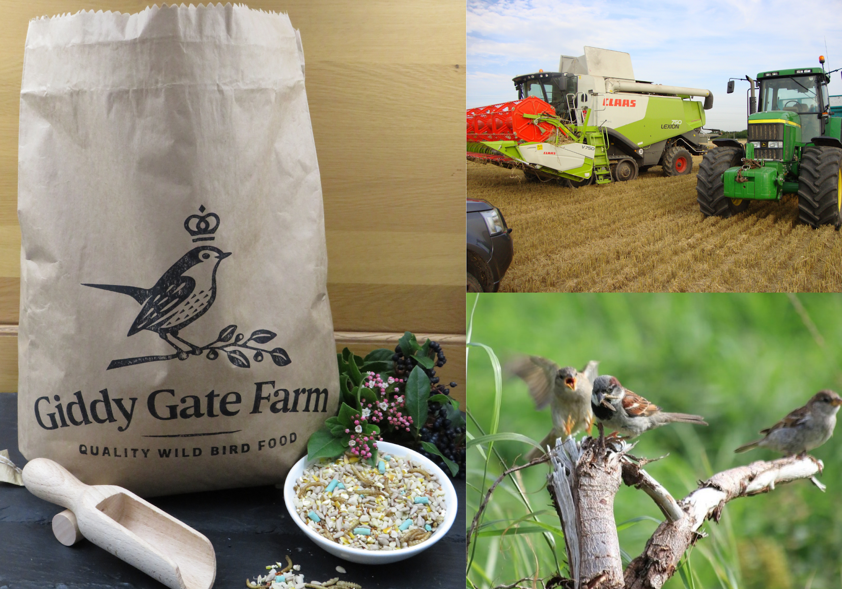 Giddy Gate Farm Wild Bird Food - Online Shop
