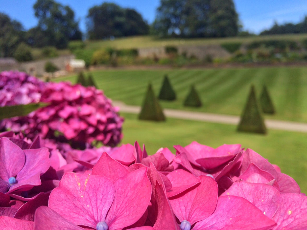 Plas Cadnant Hidden Gardens
