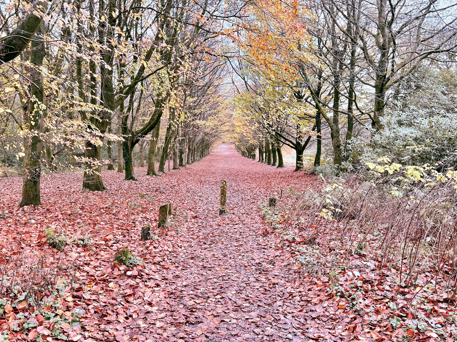 Lever Park