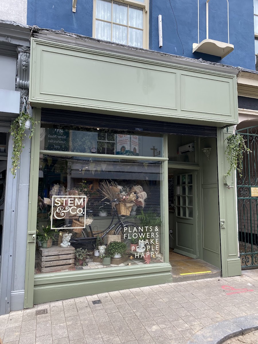 Stem & Co