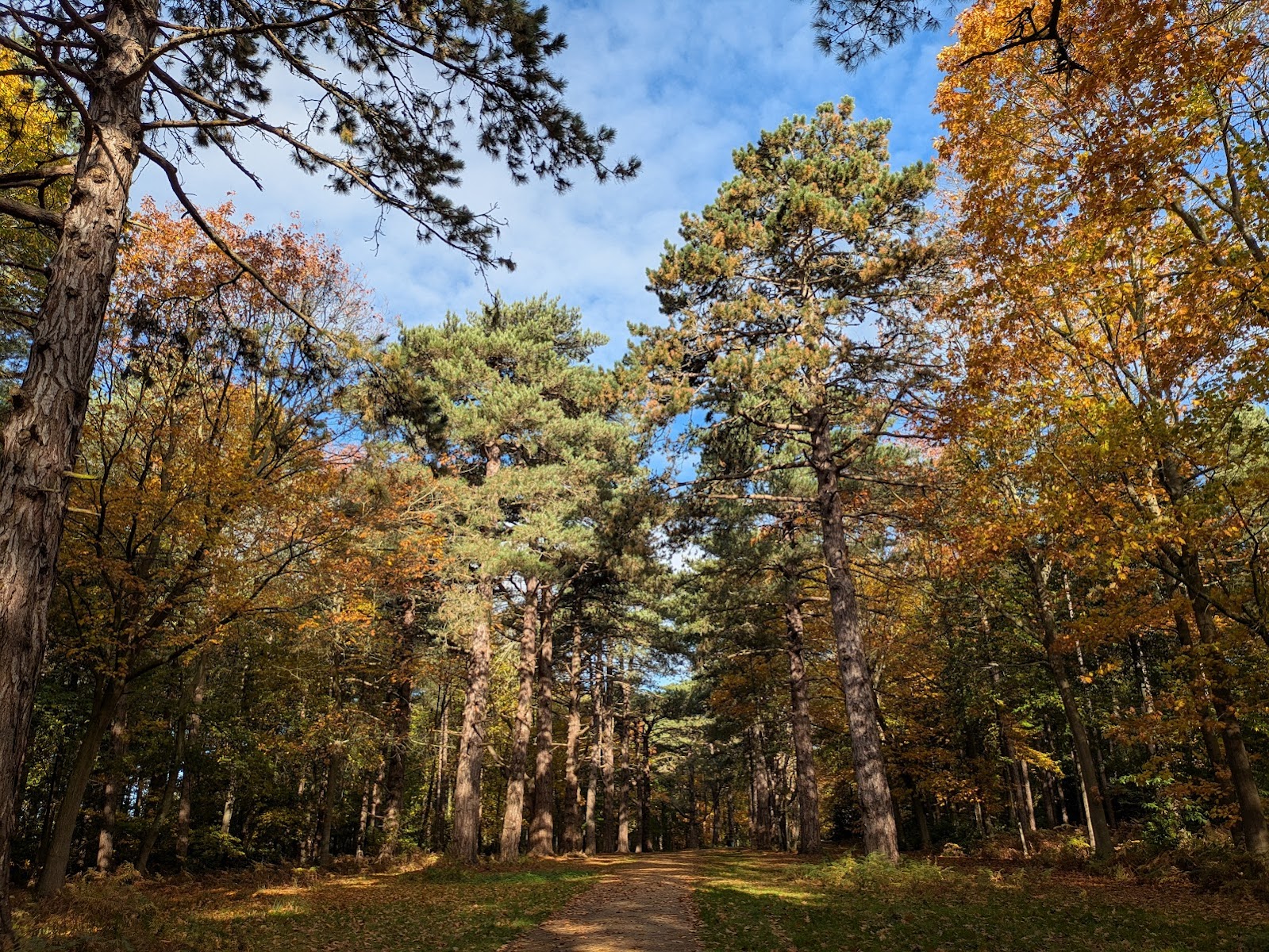 Sandringham Royal Parkland