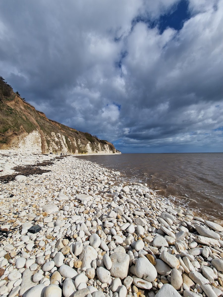 Danes Dyke LNR