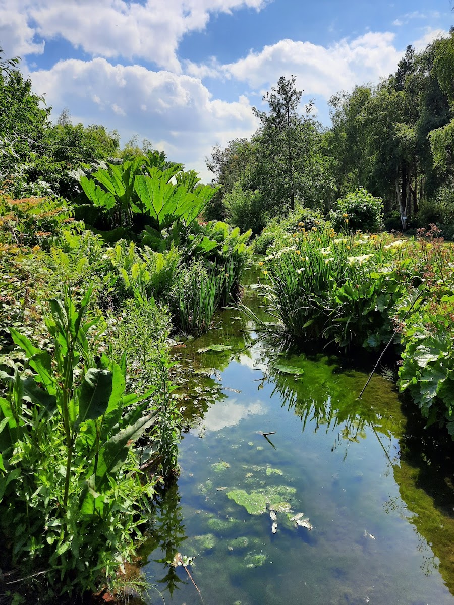 Priory Maze And Gardens