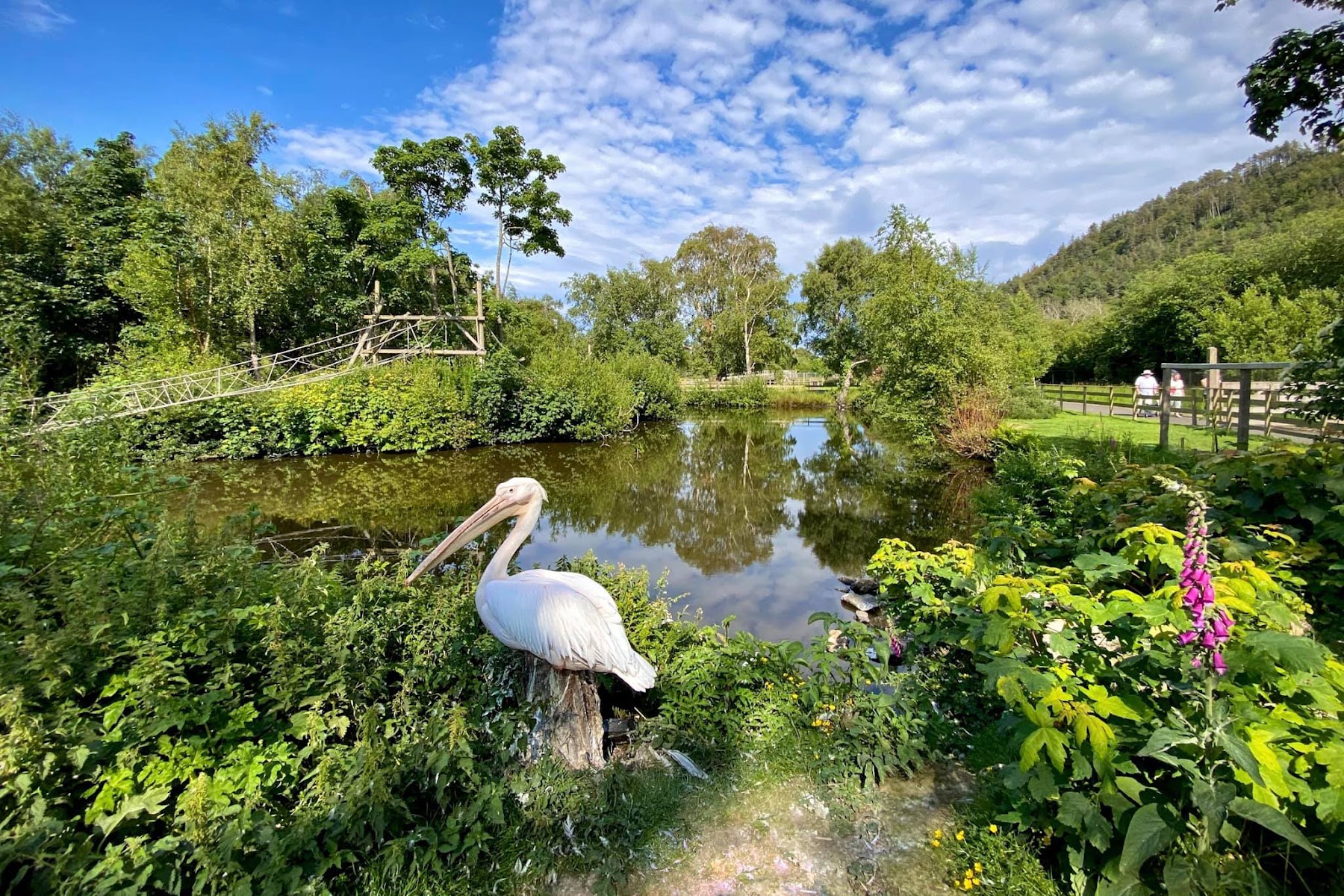 The Curraghs Wildlife Park