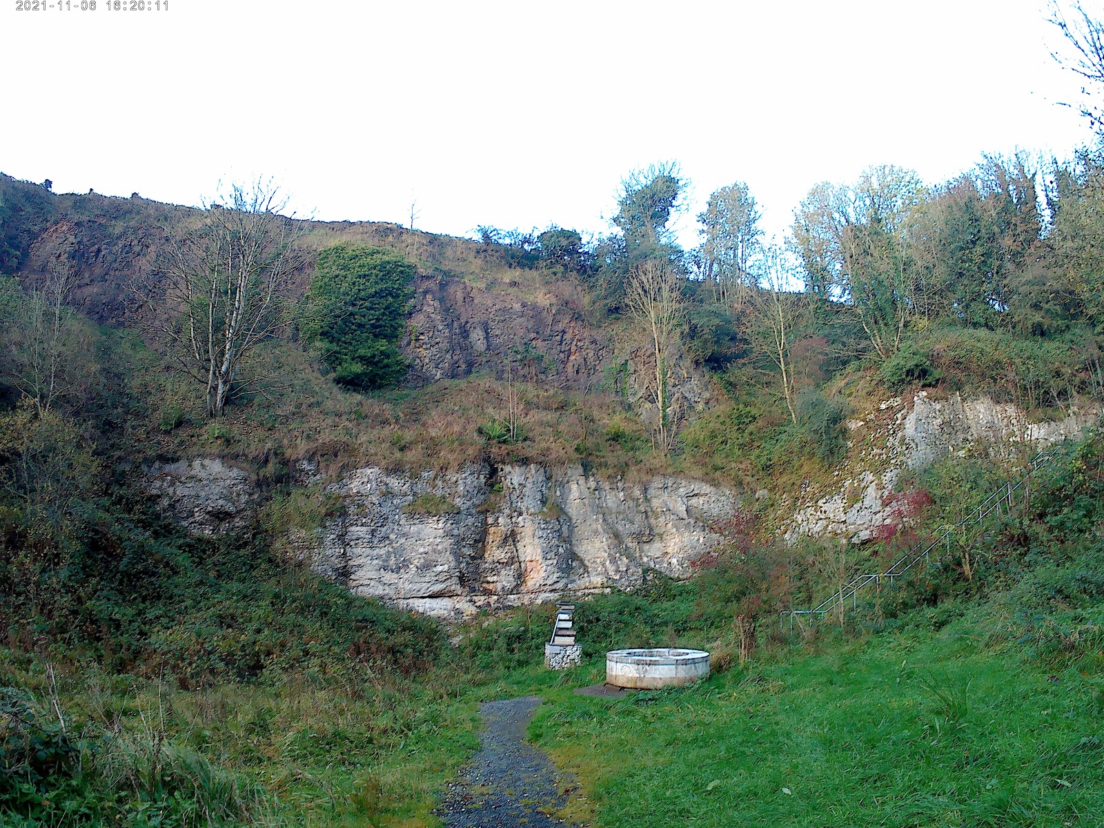 Belshaw's Quarry Nature Reserve