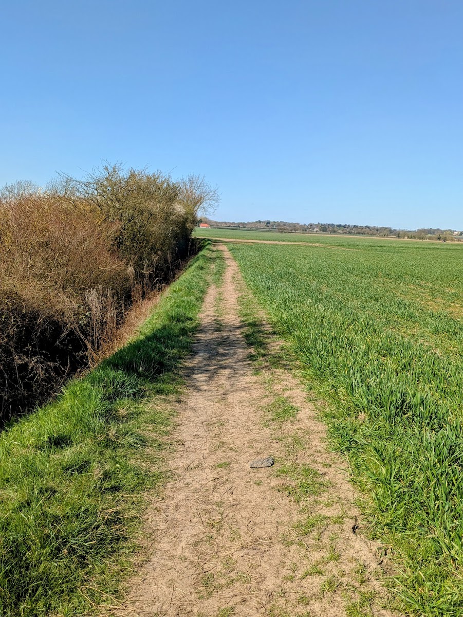 Low Farm