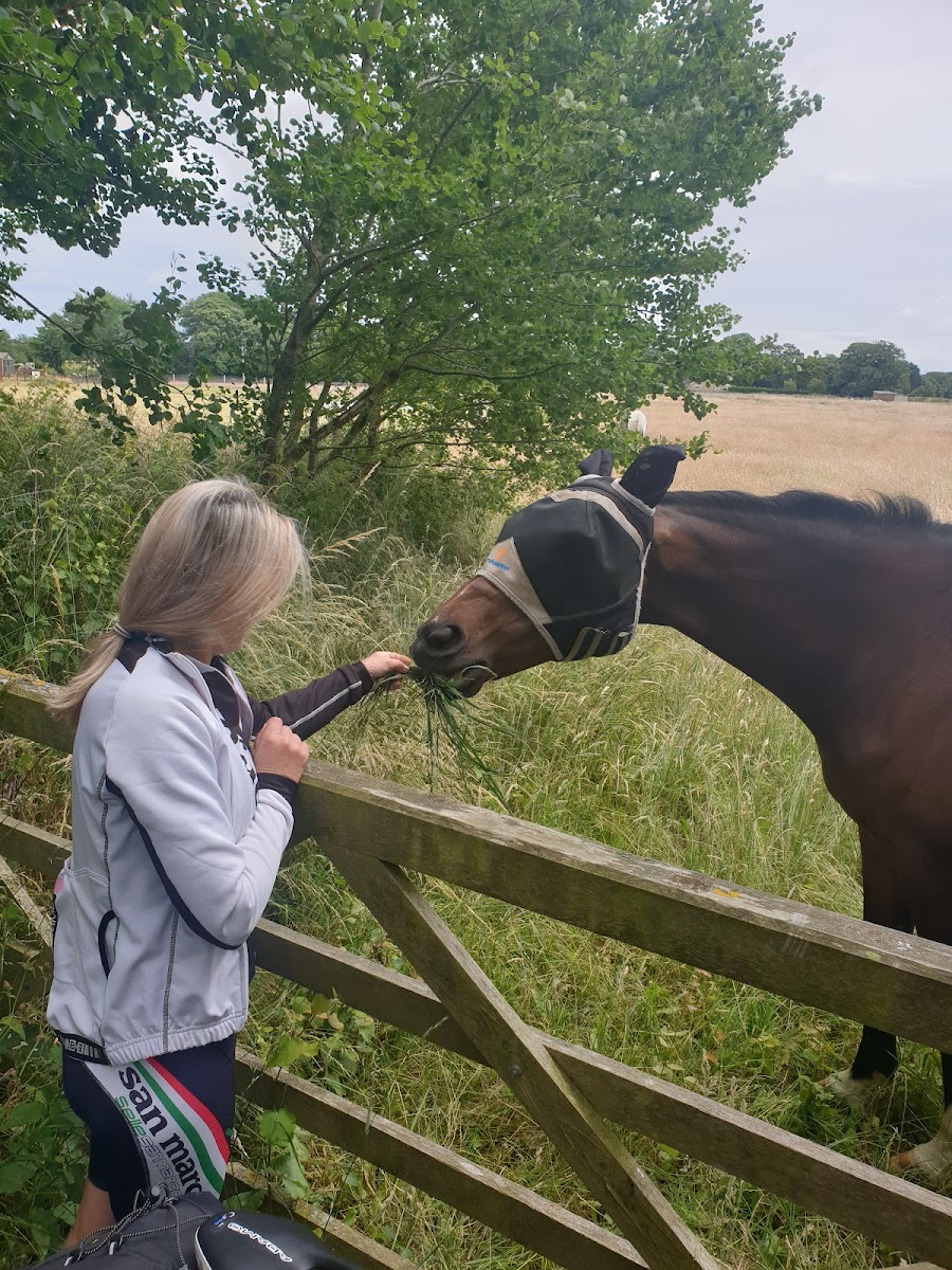 Densholme Community Care Farm
