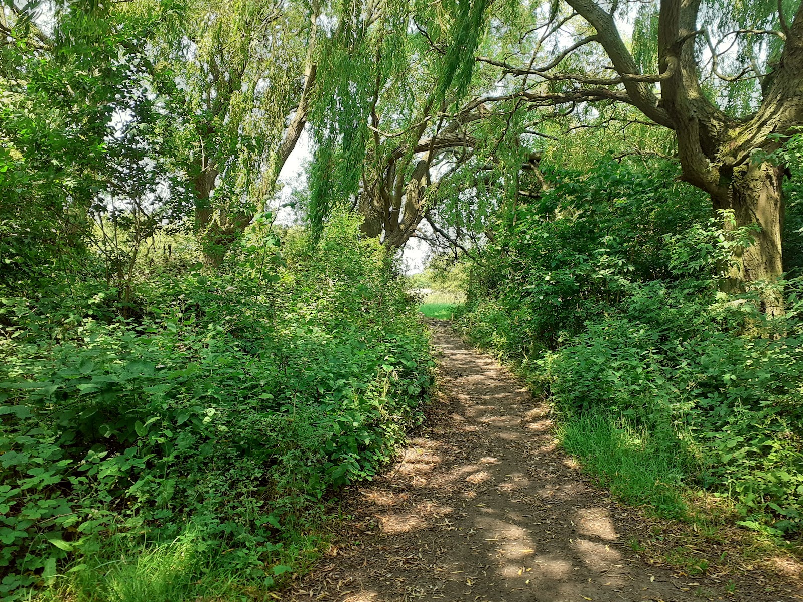 Friends Of Garrowby Orchard